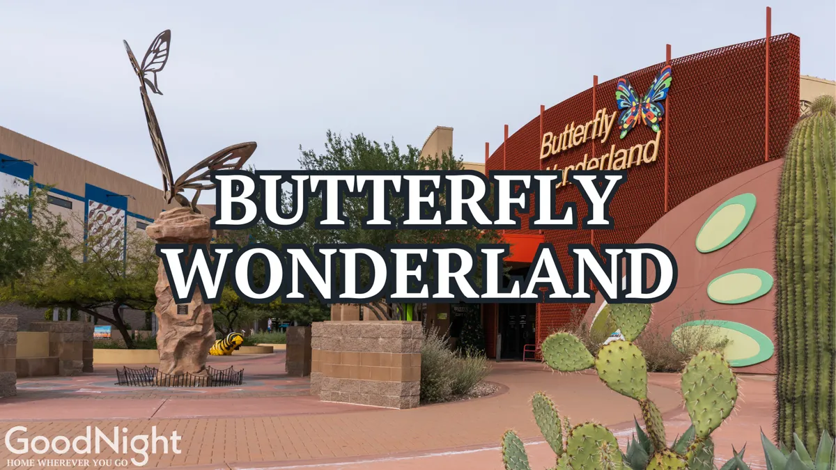 This exterior image captures the iconic butterfly sculpture and entrance signage at Butterfly Wonderland, surrounded by desert landscaping and cacti. The setting is whimsical and inviting, emphasizing the attraction's family-friendly appeal.