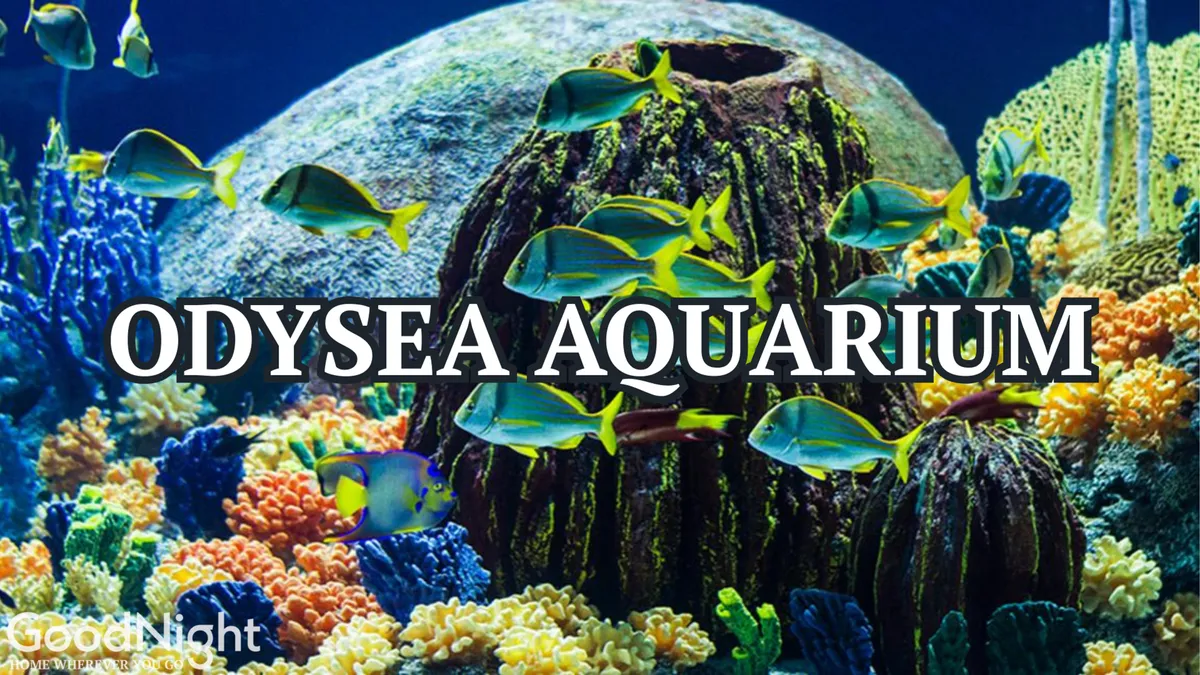 An interior view of a colorful aquarium scene, featuring vibrant coral reefs, a variety of exotic fish, and the structure of the aquarium itself. The image conveys an atmosphere of curiosity and adventure, ideal for families and children.